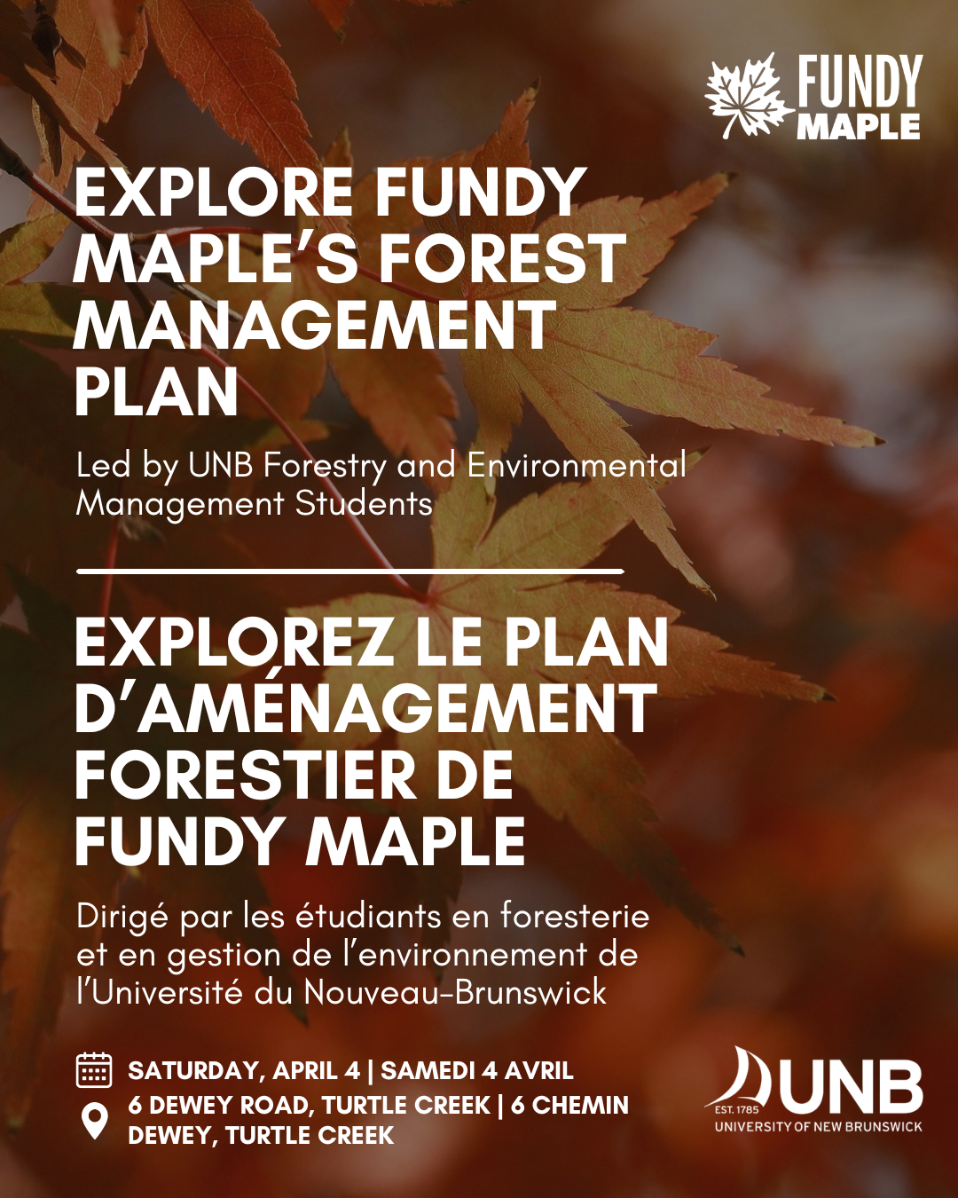 Explore Fundy Maple's Forest Management Plan